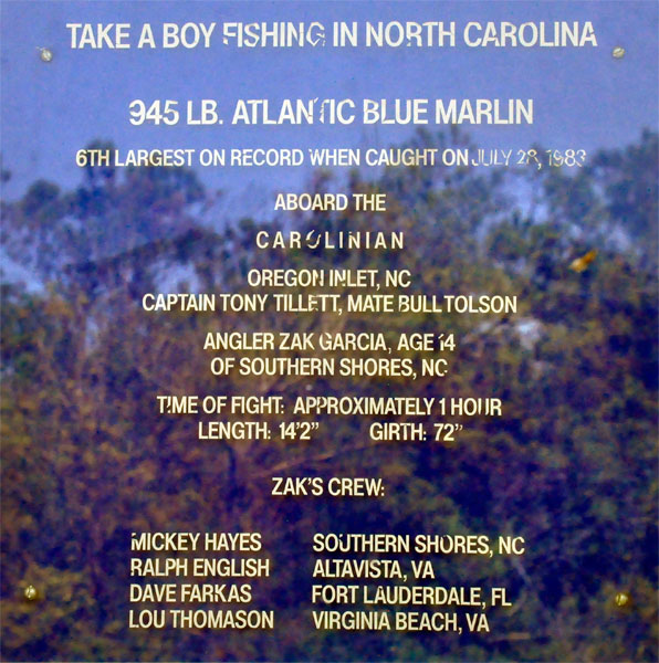 945 pound Atlantic Blue Marlin information